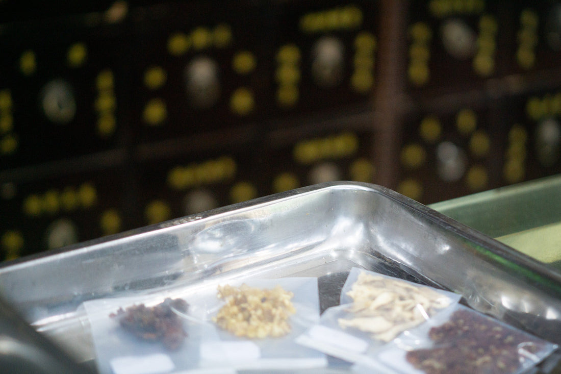 Traditional Chinese Medicine Explained: A Beginner's Guide to Qi, Blood, Body Fluids, Yin, and Yang