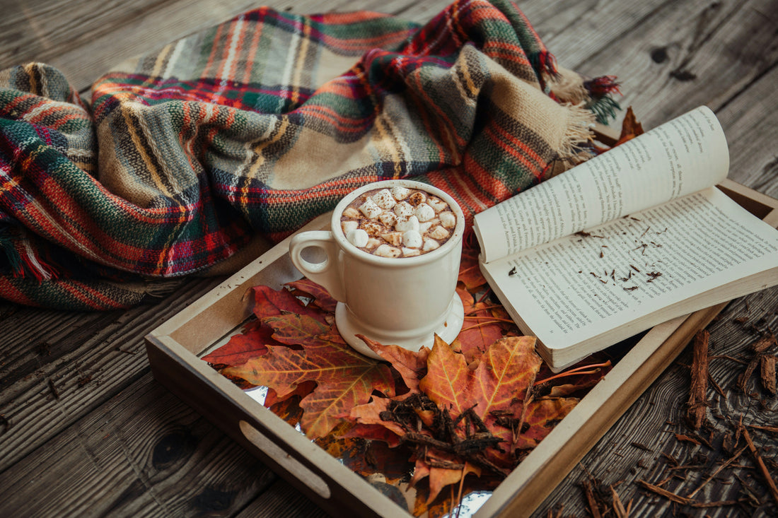 How We Approach Autumn: A TCM Guide to Seasonal Wellness
