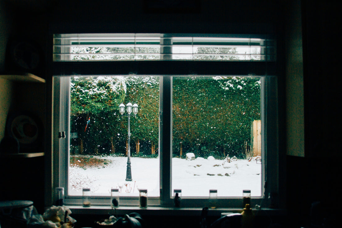 When the Season Feels Different: El Niño Through a TCM Lens