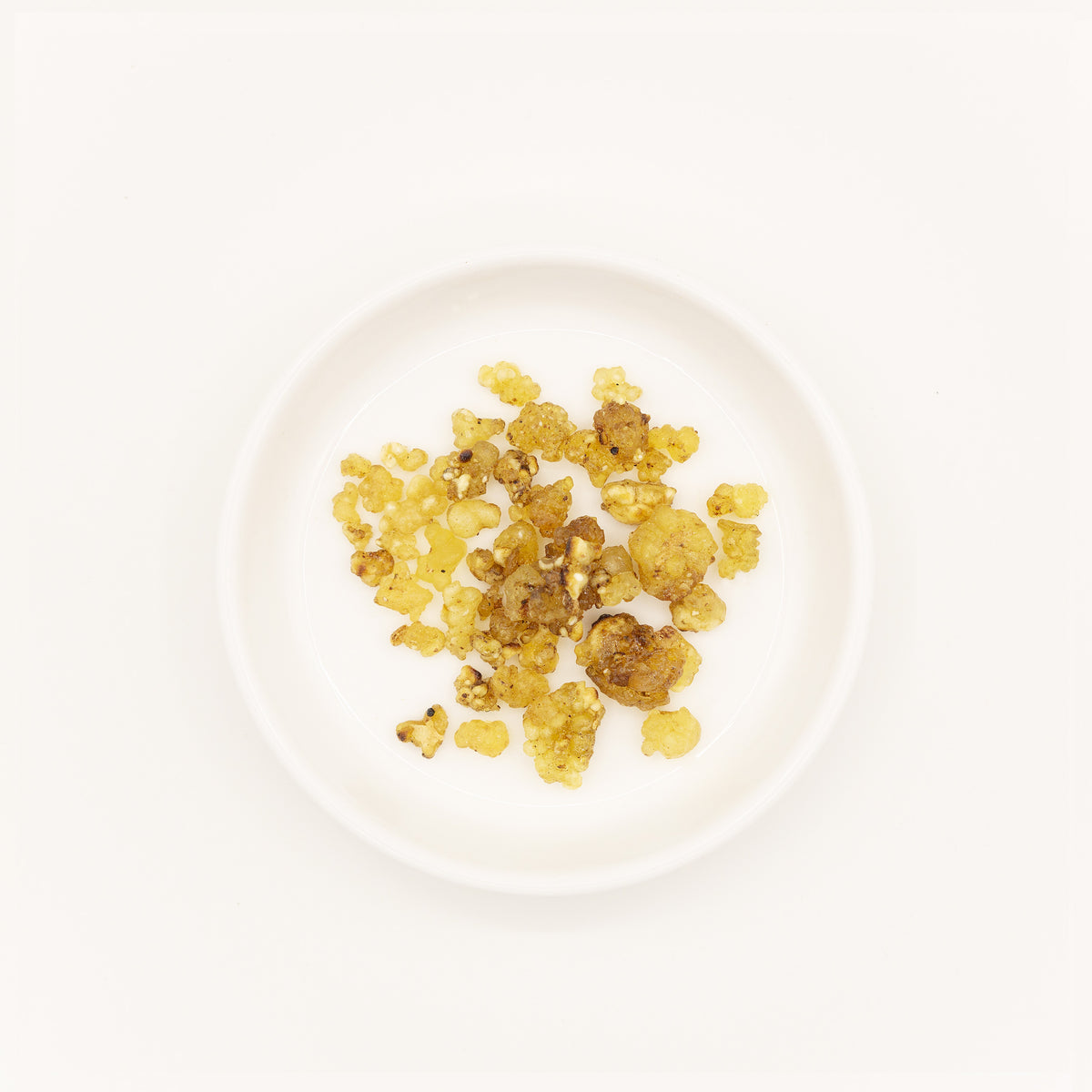 Frankincense Resin (Boswellia carterii) – Chinese traditional medicine (TCM) herb in white ceramic dish, white background flat lay studio photograph