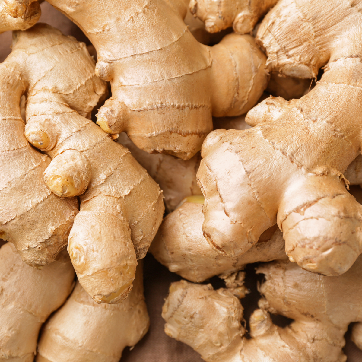 Dired Ginger