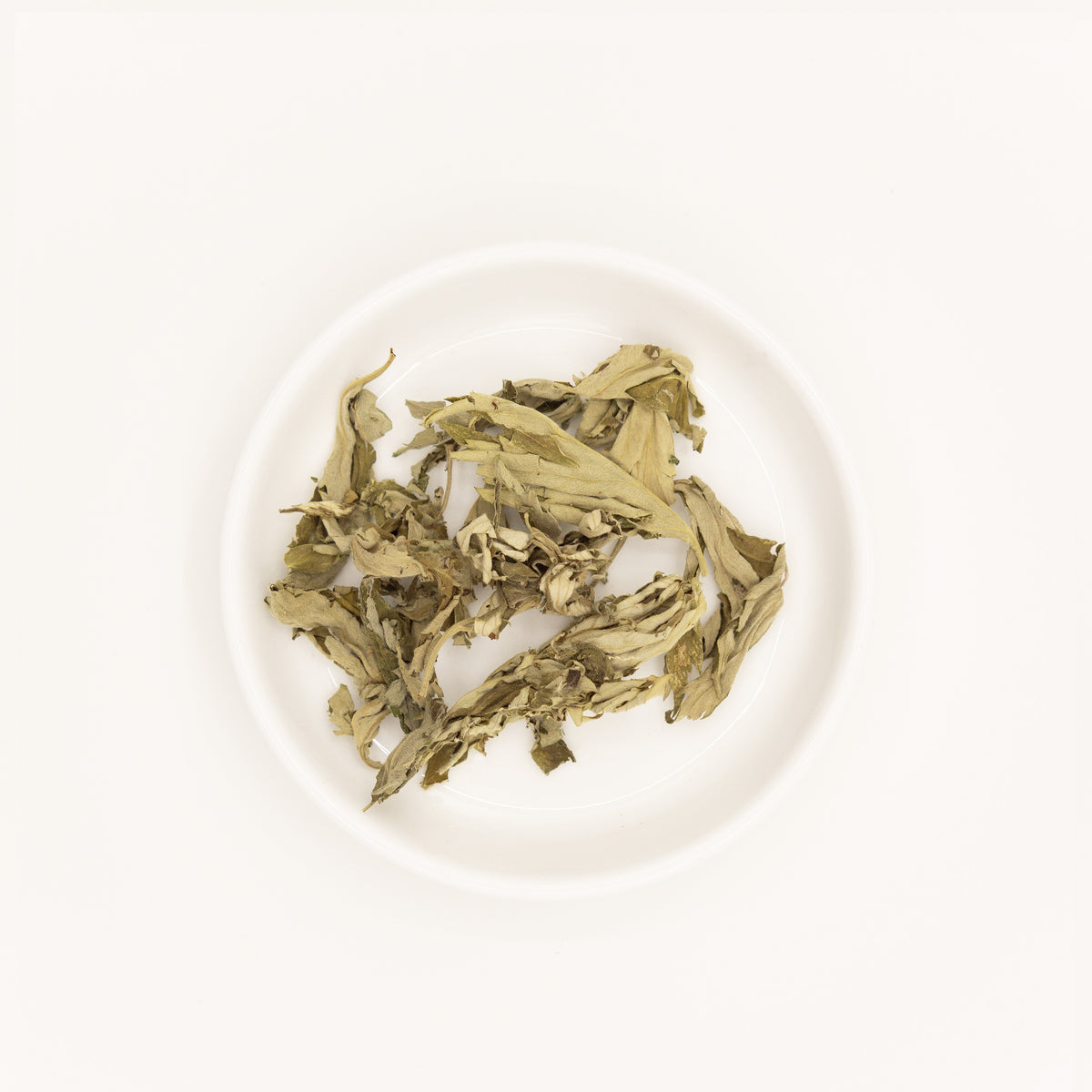 Mugwort Leaf (Artemisia argyi) – Chinese traditional medicine (TCM) herb in white ceramic dish, white background flat lay studio photograph