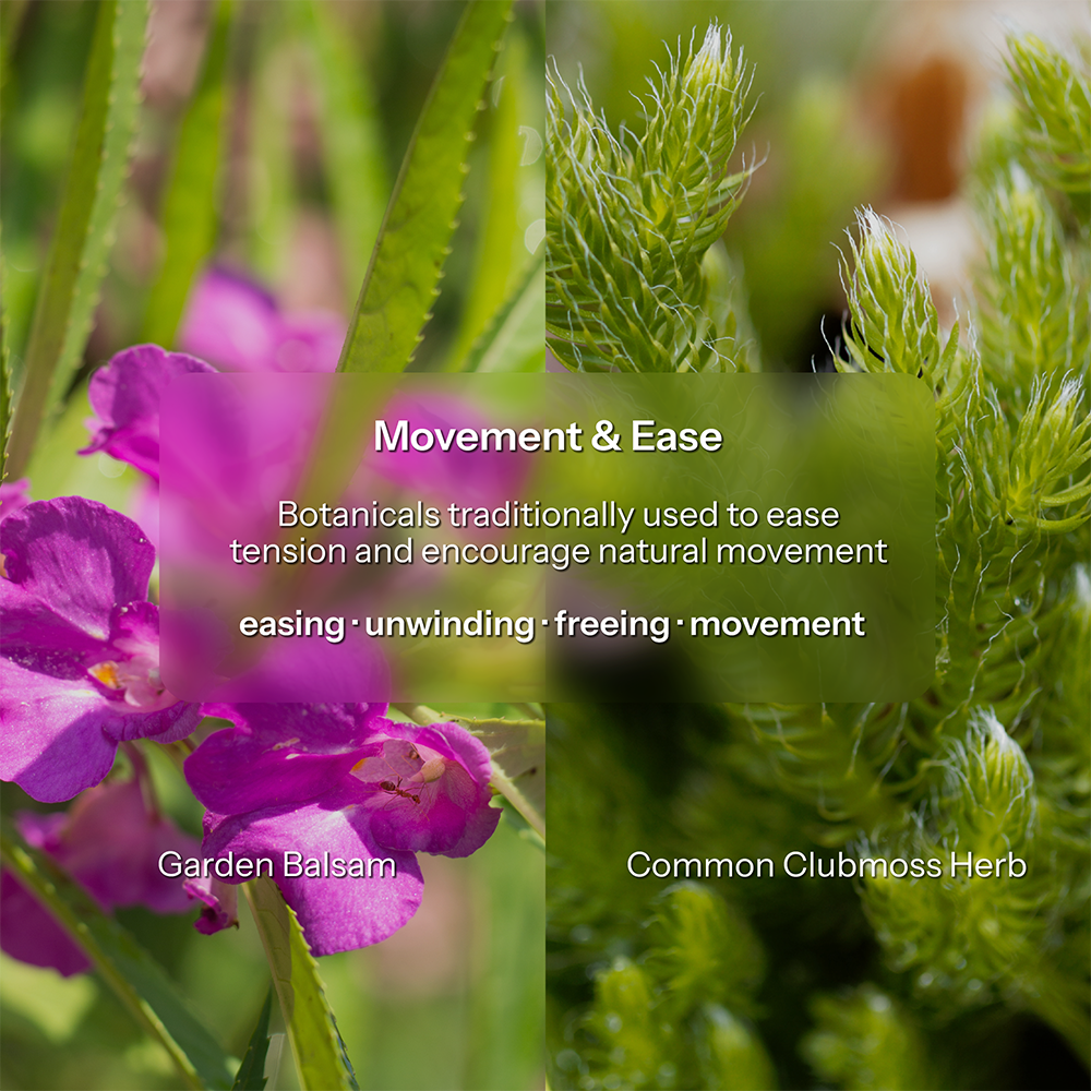 Two-Part Botanical Foot Soak Ritual (3 Packs with foldable basin) -Discovery Set