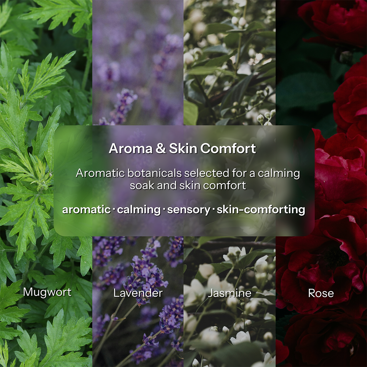 Two-Part Botanical Foot Soak Ritual (3 Packs with foldable basin) -Discovery Set