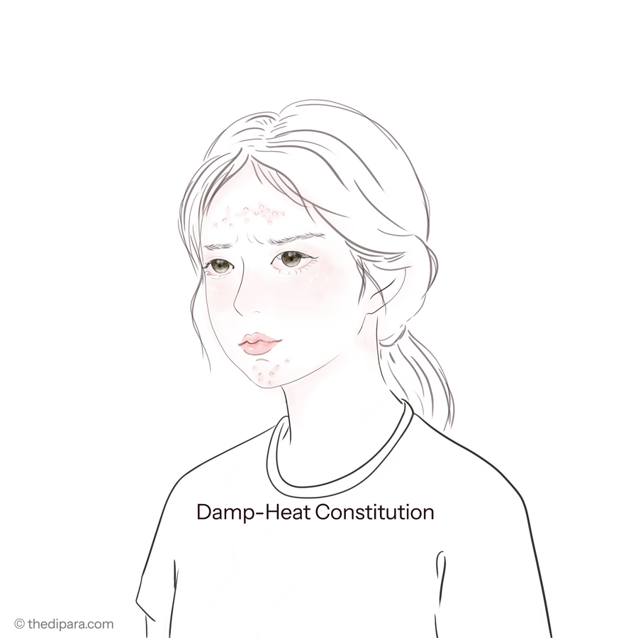 Damp-Heat Constitution